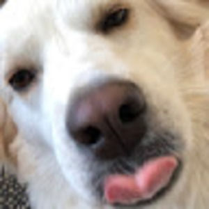 Meet your Posher, Tcs